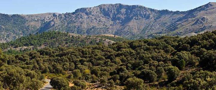 CORTIJO COVAROCA, SITUADO EN EL PUEBLO MáS BONITO DE CASTILLA-LA MANCHA