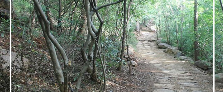 ES TIEMPO DE IR A PERDERSE Y ENCONTRARSE CON LA NATURALEZA